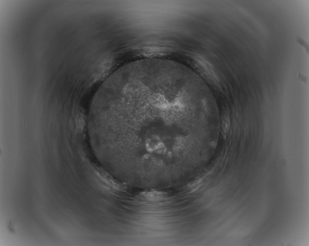 X0000097650367200803071515