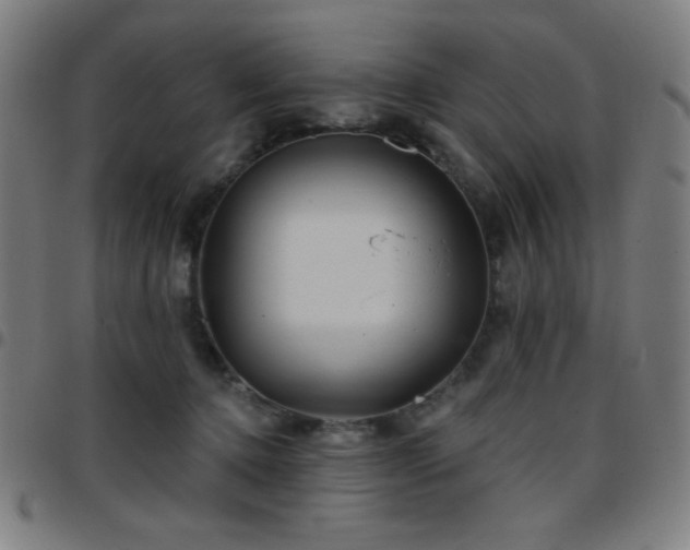 X0000097650368200803071515