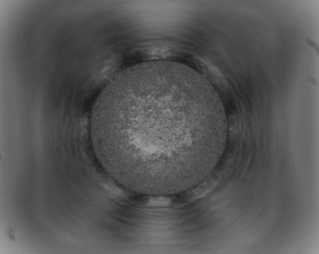 X0000097650369200803071515