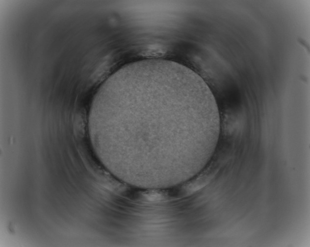 X0000097650370200803071515