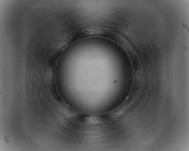 X0000097650372200803071515