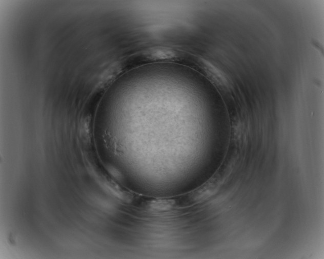 X0000097650373200803071515