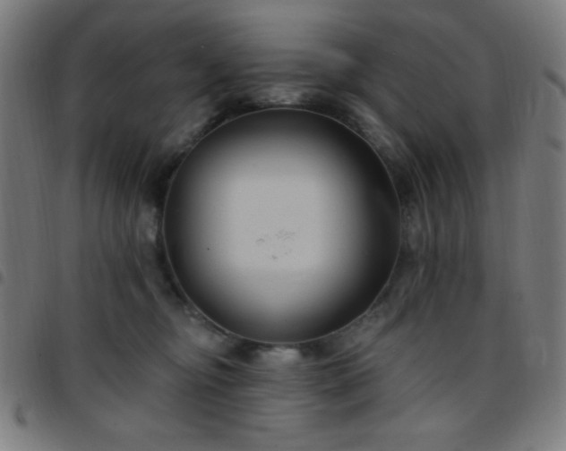 X0000097650374200803071515