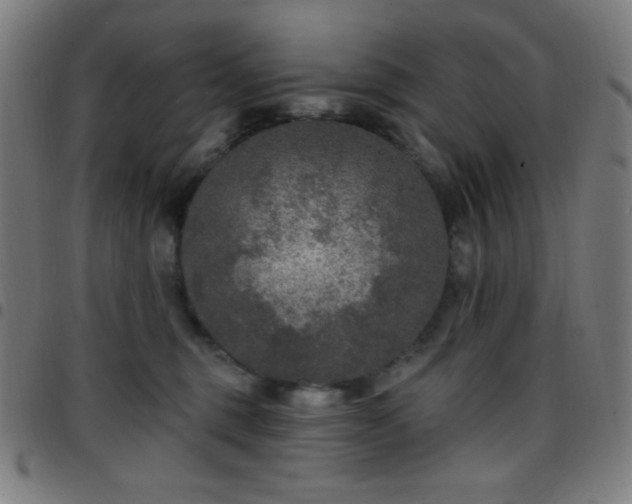 X0000097650375200803071515