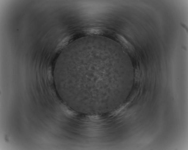 X0000097650377200803071515