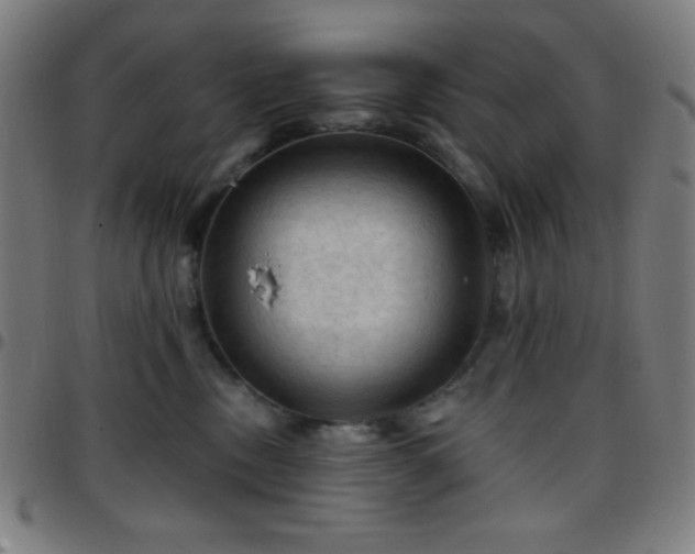 X0000097650378200803071515