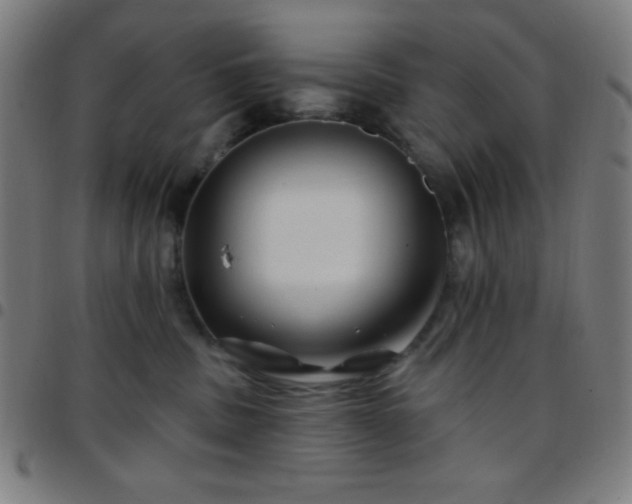 X0000097650379200803071515