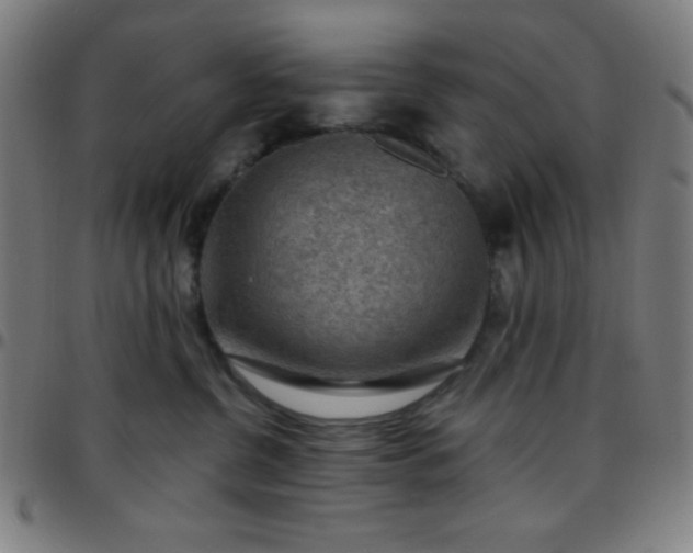 X0000097650380200803071515