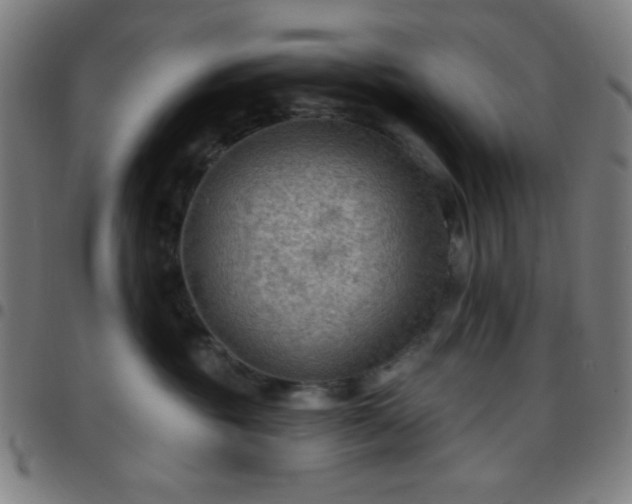 X0000097650381200803071515