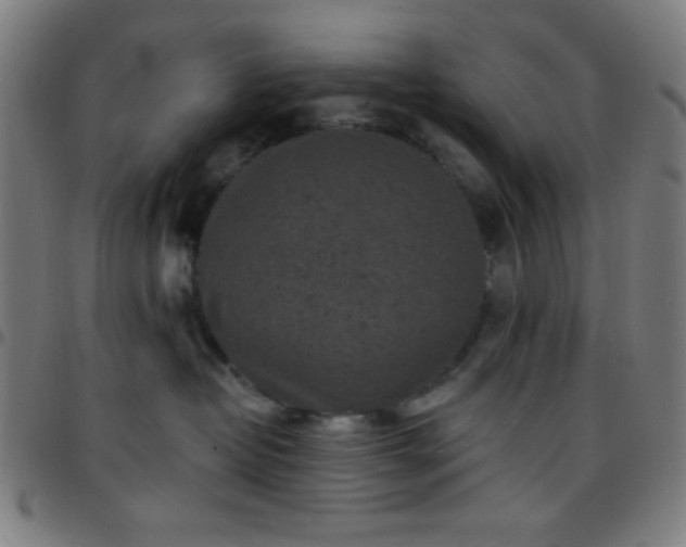 X0000097650382200803071515