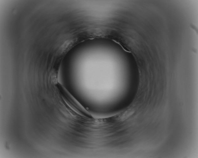 X0000097650384200803071515