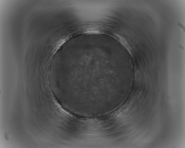 X0000097650385200803071514