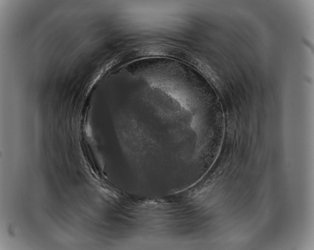 X0000097650386200803071514