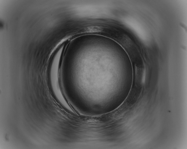 X0000097650387200803071514