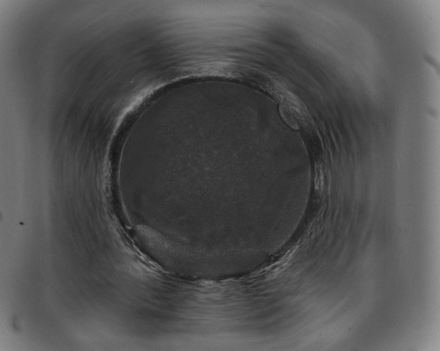 X0000097650388200803071514