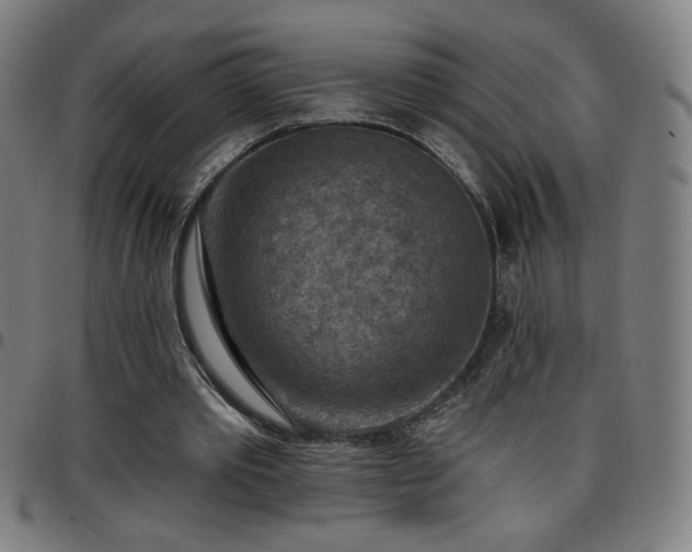 X0000097650389200803071514