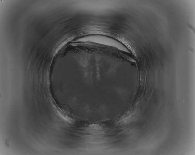 X0000097650390200803071514