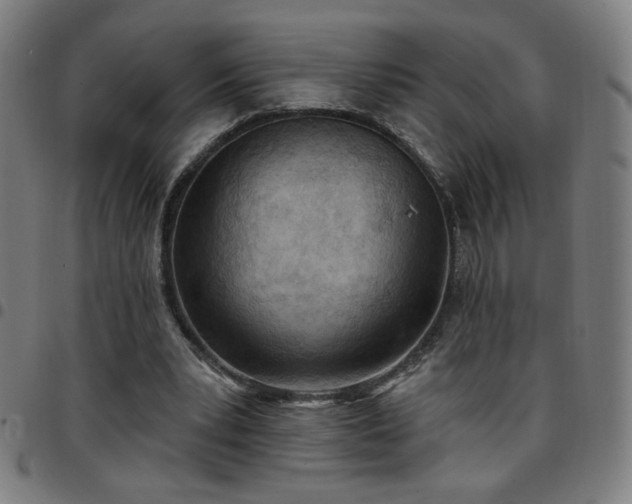 X0000097650391200803071514