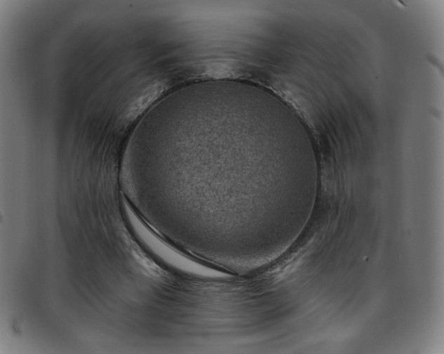 X0000097650393200803071514