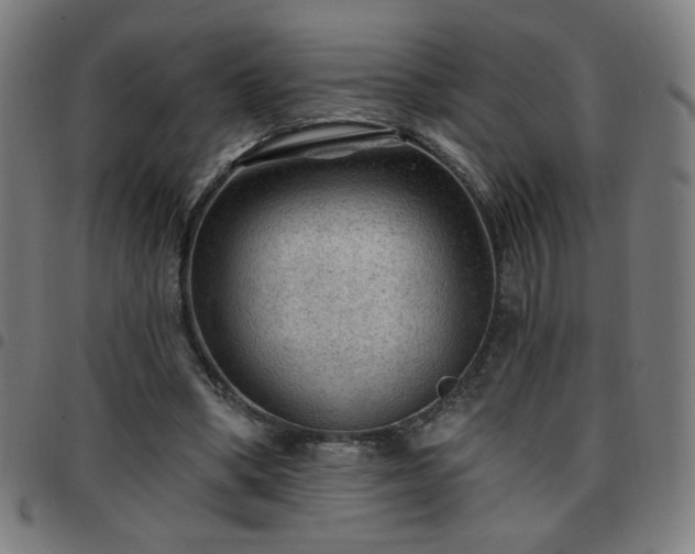 X0000097650394200803071514