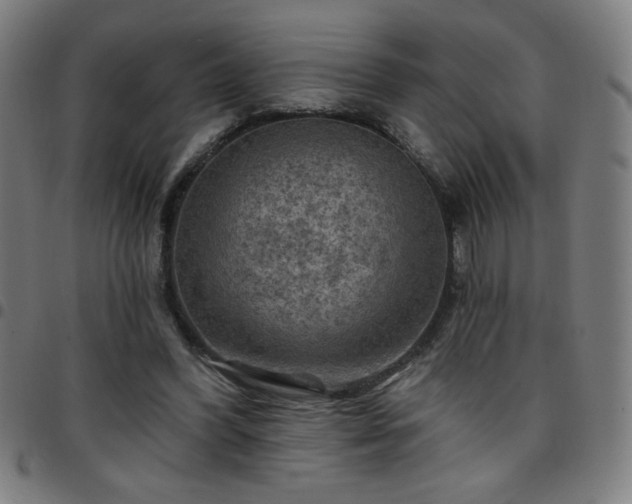 X0000097650396200803071514