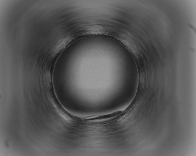 X0000097650397200803071514