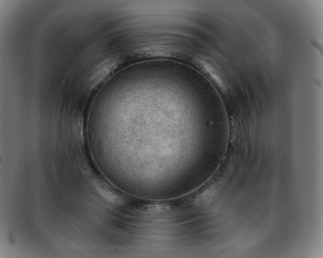 X0000097650398200803071514