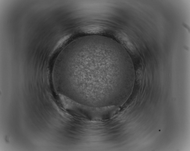 X0000097650400200803071514