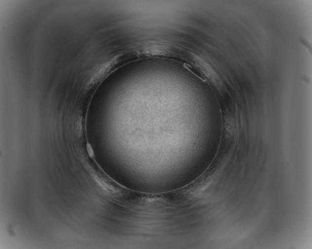 X0000097650401200803071514