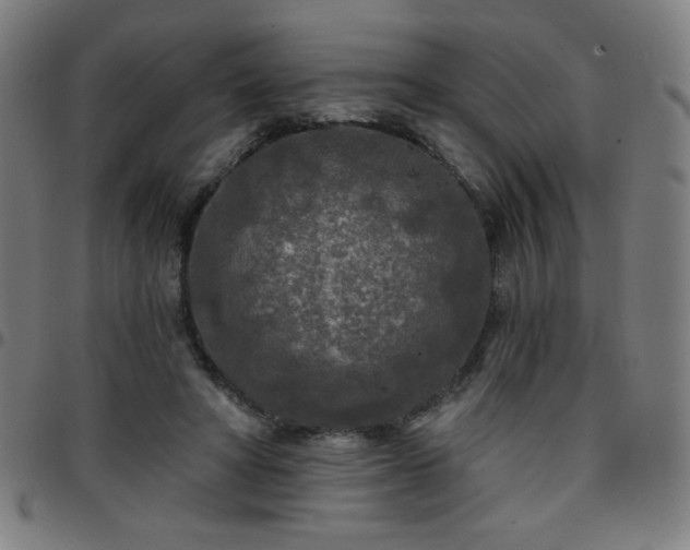 X0000097650402200803071514