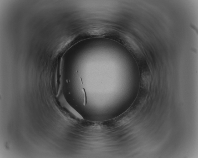 X0000097650404200803071514