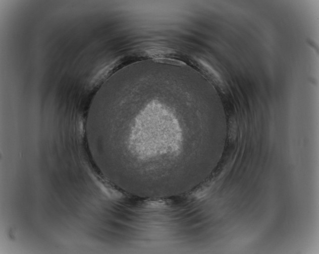 X0000097650405200803071514