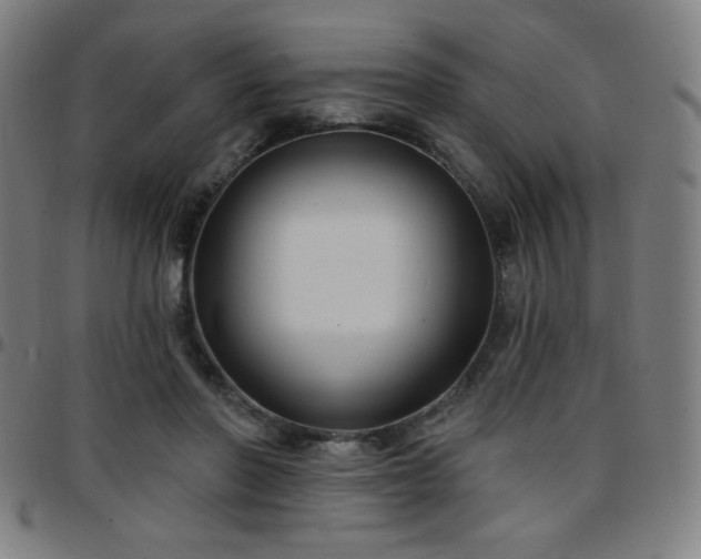 X0000097650406200803071514