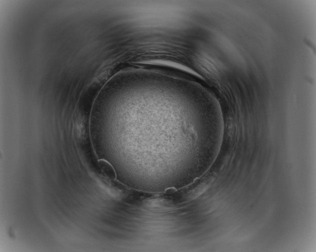 X0000097650408200803071514