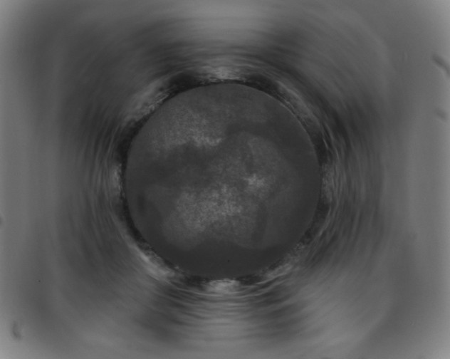 X0000097650410200803071514