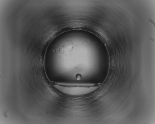 X0000097650411200803071514