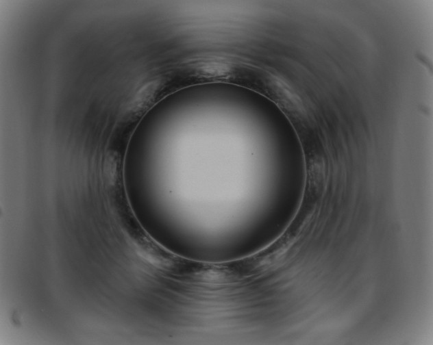 X0000097650412200803071514