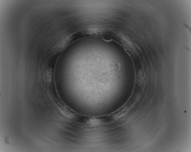 X0000097650413200803071514