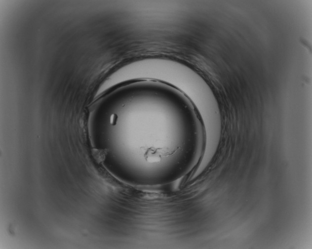 X0000097650415200803071514