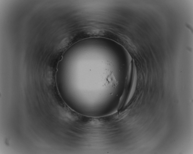 X0000097650416200803071514