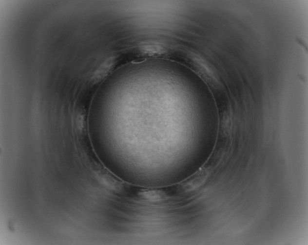 X0000097650417200803071514