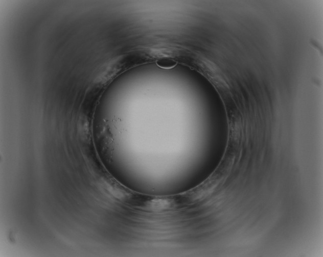 X0000097650418200803071514