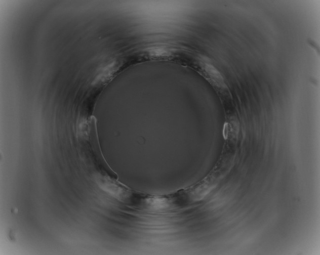 X0000097650419200803071514