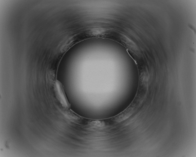 X0000097650421200803071514