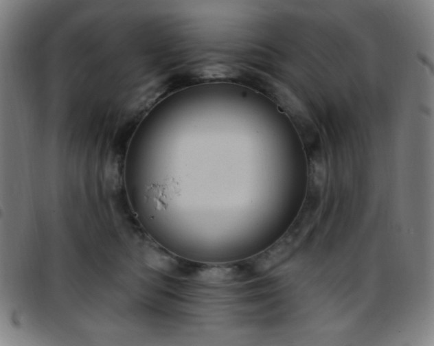 X0000097650422200803071514