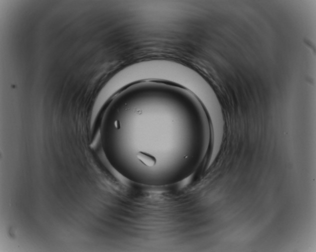 X0000097650423200803071514