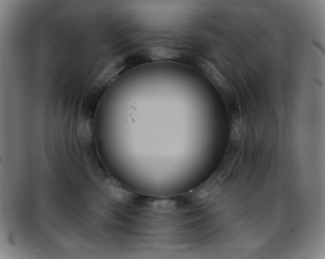 X0000097650426200803071514