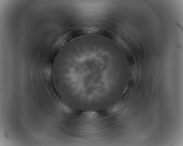 X0000097650427200803071514