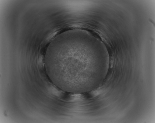 X0000097650428200803071514