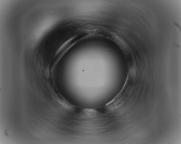 X0000097650429200803071514